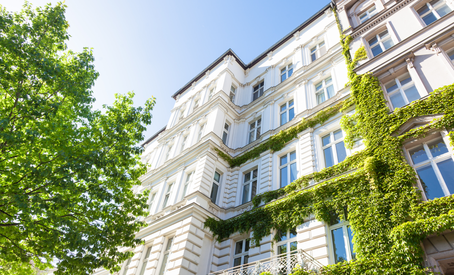 Bachelor-Immobilier-bien-choisir-selon-vos-ambitions