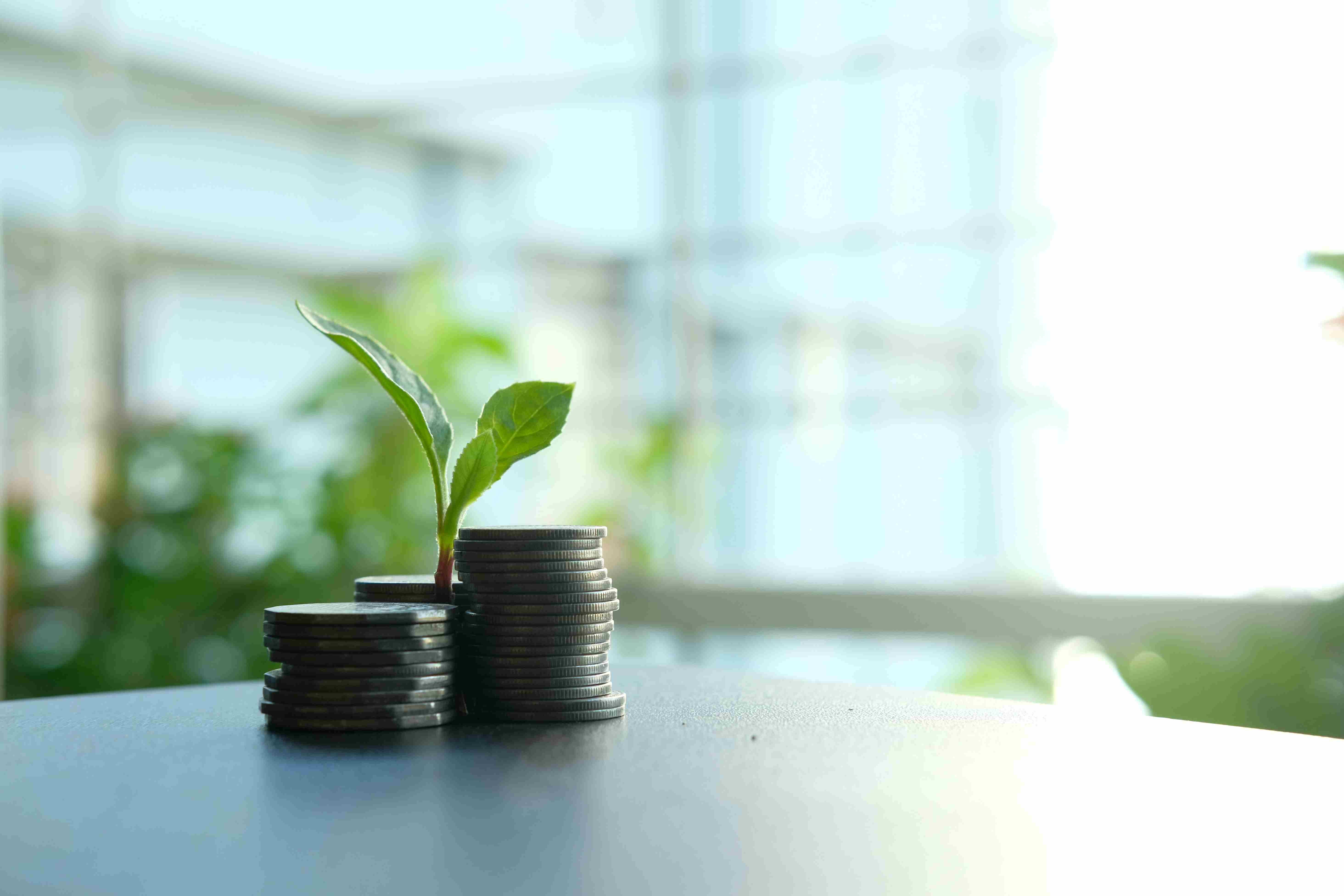 émérgence-finance-verte-banque-assurance