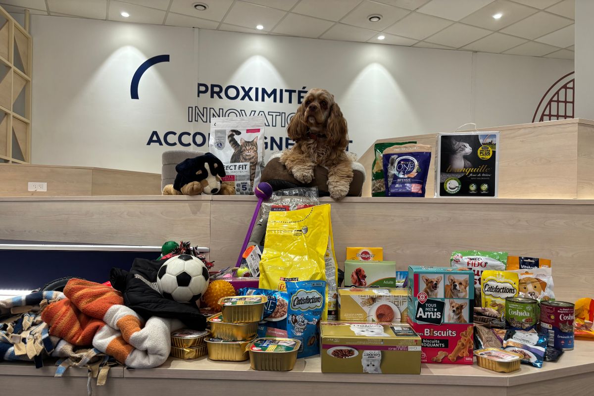 les-étudiants-en-MBA-Communication-s'engagent-pour-la-SPA