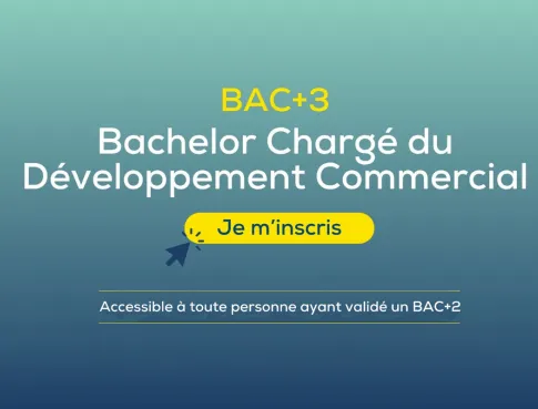 Zoom Formation Bachelor Chargé du Développement Commercial