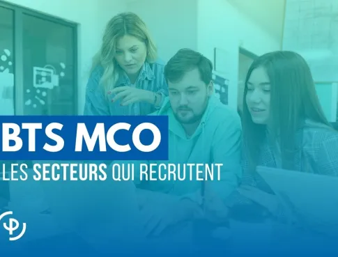 BTS MCO alternance : quels secteurs de vente recrutent encore massivement cette année ?