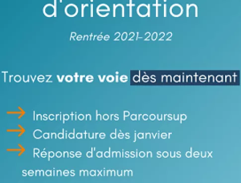 Vœux d'orientation