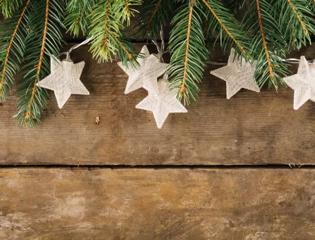 christmas-composition-with-stars-fir