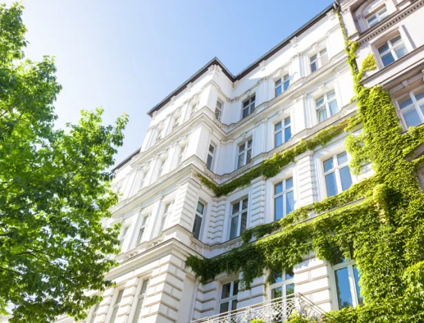 Bachelor-Immobilier-bien-choisir-selon-vos-ambitions