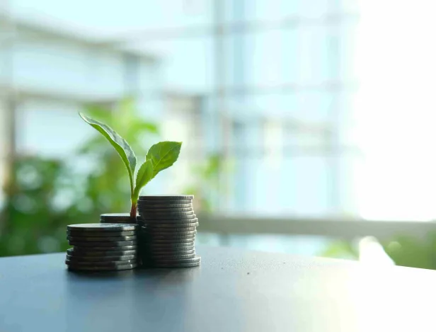 émérgence-finance-verte-banque-assurance