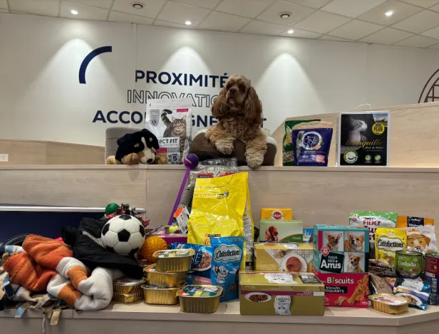 les-étudiants-en-MBA-Communication-s'engagent-pour-la-SPA