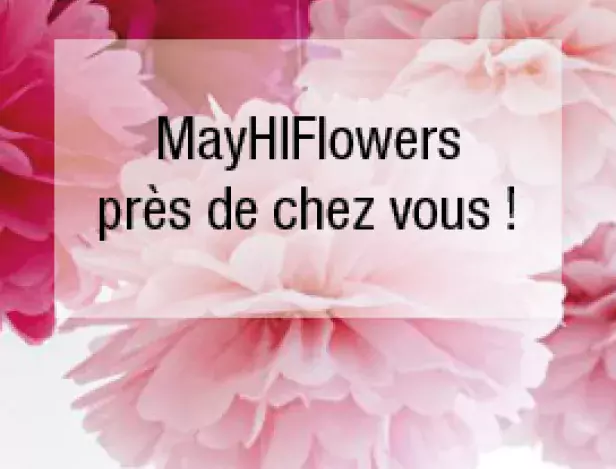 actu-mayhiflowers