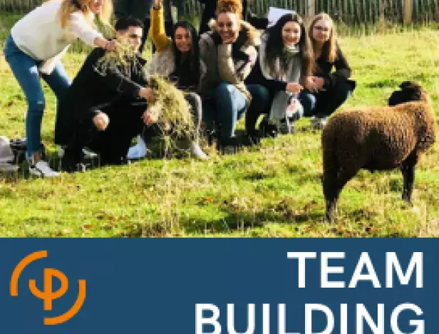 team-building-equipe-gagnante-pigier-performance-paris-2019