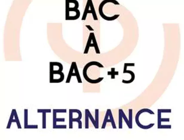 vignette-article-performance-5