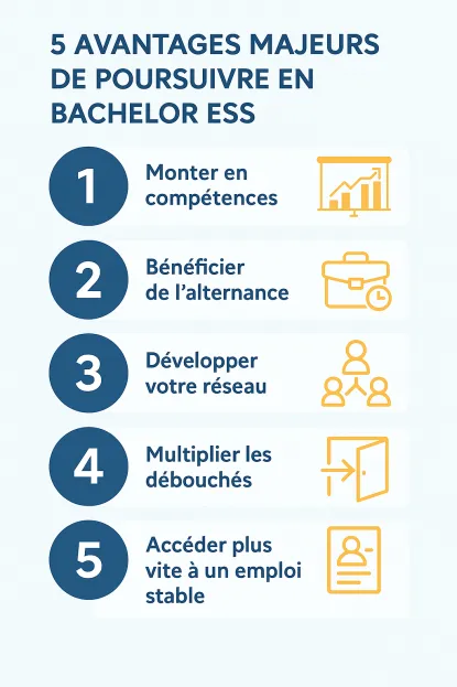 Les-avantages-bachelor-REESS
