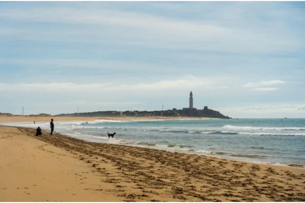 Cadre-de-vie-avec-la-mer-et-la-nature-a-Lorient